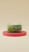 Tiny Bunny Greens Microgreens Clamshell